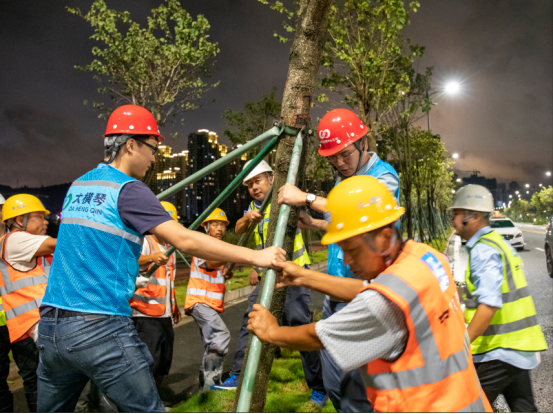 1605594911603607.png image.png