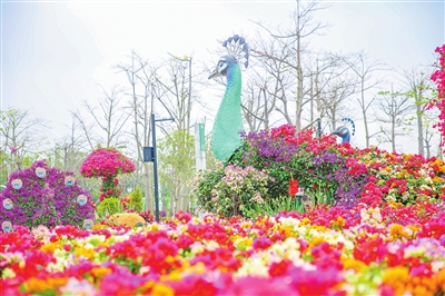 1645587860283080.jpg 10tqb0221010_003_01_b.jpg